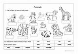Preschool Esl Domestic Excel sketch template