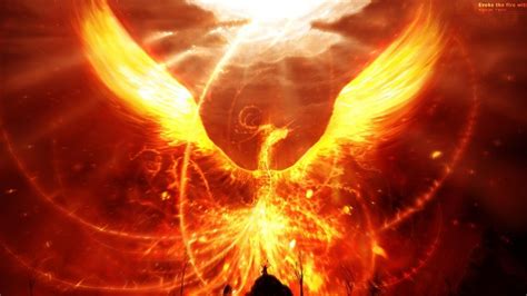 fire phoenix hd wallpaper background image  id wallpaper abyss