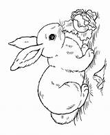 Pages Bunny Easter Coloring Easy Getcolorings Marvellous sketch template