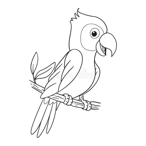 coloring pages  books  kids cute parrot cartoon illustration