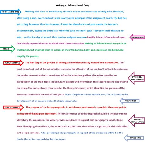 informative essay purpose structure  examples