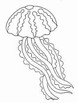 Jellyfish Coloring Pages Print Sea Kids Jelly Fish Color Medusa Printable Realistic Coral Animals Acoloringbook Coloringkids sketch template