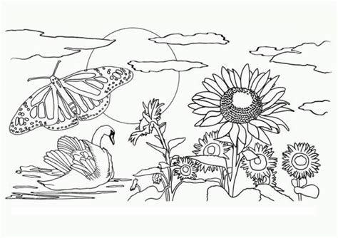 easy preschool printable  nature coloring pages qovf
