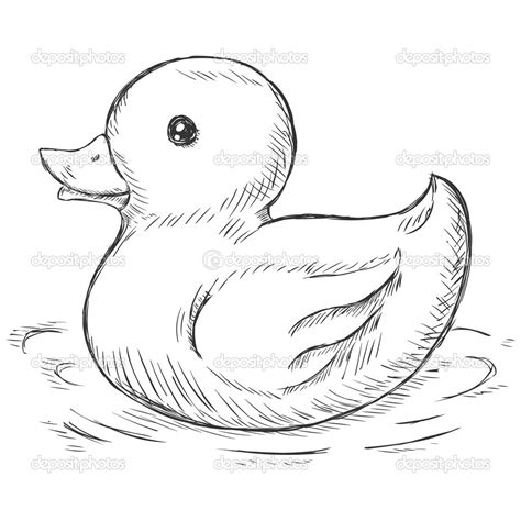 duck   pond drawing  getdrawings