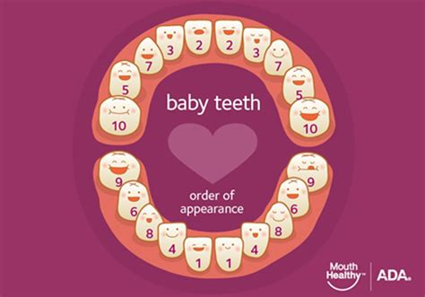 teething mouthhealthy oral health information