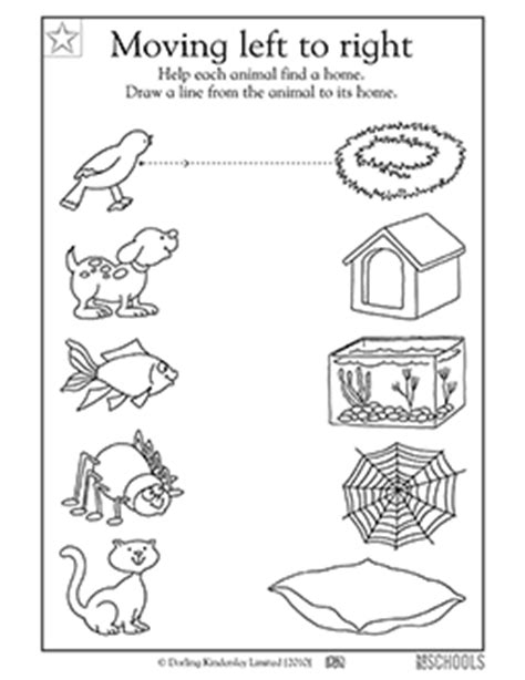 animals   homes worksheets english pic ora