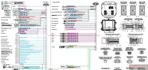 cummins isc ecm wiring diagram wiring diagram pictures