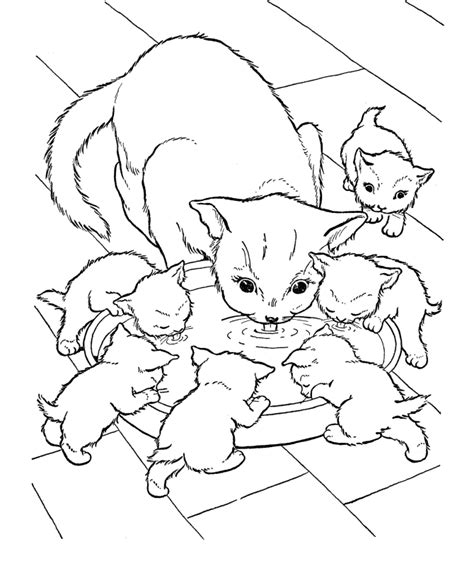coloring pages cat coloring home