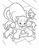 Coloriage Trop Imprimer Kittens Kitten Catégorie Dessin sketch template