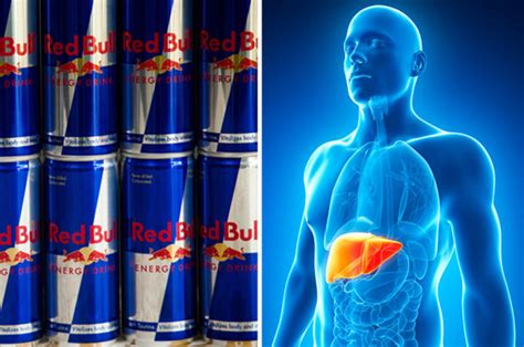 You Won T Believe How Much Damage Red Bull Does To Your Liver Daily Star