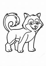 Coloring Pages Husky Puppy sketch template
