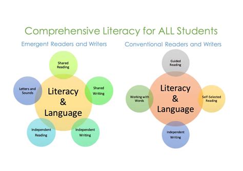 comprehensive literacy instruction meeting  instructional