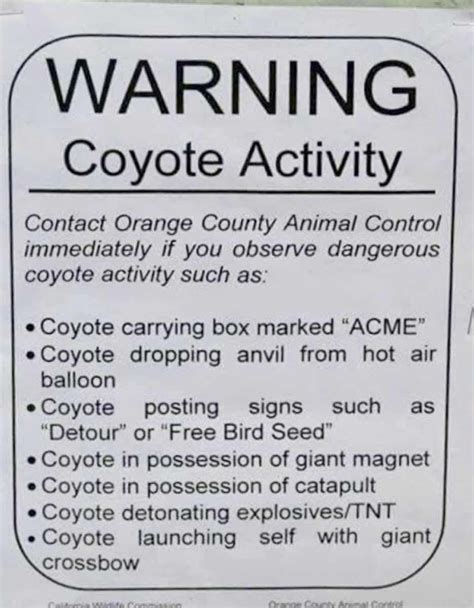 Coyote Activity Warning Funny