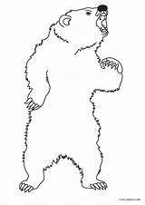 Bear Coloring Malvorlagen Baren Bären Claws Druckbare Ausdrucken Kostenlos sketch template