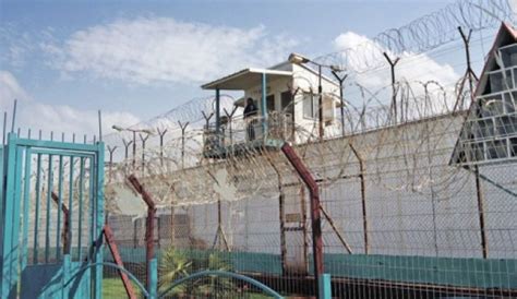 Gay Israeli Prisoners Win Right To Conjugal Visits The