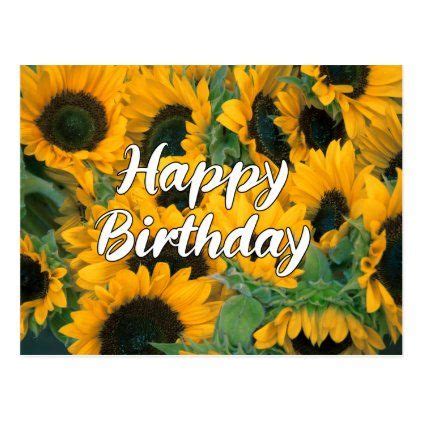 sunflowers happy birthday postcard beautiful floral cards