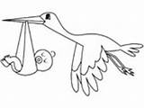 Stork Coloring Pages Heron sketch template
