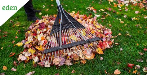 Spring Yard Clean Up Checklist And Essentials Eden Lawn Care And Snow