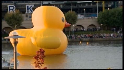 giant rubber duck afloat in pittsburgh cnn video
