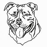 Terrier Drawing Bull Coloring Dog Pages Pitbull Head Tupac Basic Staffy Sketch Staffordshire Boston Line Kennel Drawings Getdrawings Puppy Clipart sketch template