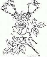 Coloring Pages Adult Flowers Adults Color Print Printable Flower Sheets Cool Roses Simple Colouring Books Printables Ausmalbilder Difficult Kids Painting sketch template