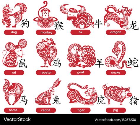 chinese zodiac signs royalty  vector image