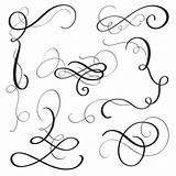 Calligraphy Flourish Vintage Vector Whorls Eps10 Vecteezy Decorative Illustration Set sketch template