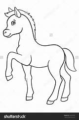 Foal Designlooter sketch template