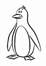 Penguin Coloring Pages Penguins Cartoon Clipart Printable Winter Emperor Colouring Color Drawing Kids Silly Enjoy Pittsburgh Clip Cliparts Clipartpanda Print sketch template