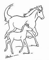 Coloring Pages Printable Horses Horse Sheets Colouring Kids Printables sketch template