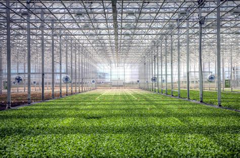 brightfarms raises  million  set  futuristic greenhouses