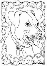 Terrier Bull Kleurplaat Staffordshire Coloring Pages Dog Colouring Colour Kleurplaten Printable Edupics Choose Board Grote Afbeelding sketch template