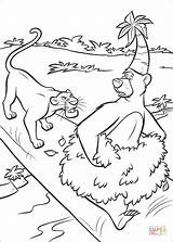 Coloring Pages Bagheera Baloo Jungle Libro Da Para Mowgli Colorare Colorear La Disegni Dschungelbuch Ausmalbilder El Drawing Colorir Selva Das sketch template