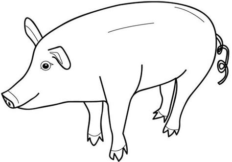 pig   piggy bank coloring page coloring sky coloring pages