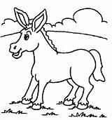 Donkey Coloring Pages Animal Print sketch template