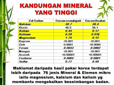 pusat terapi de ieman lebu bentong apakah keperluan mineral  badan kita