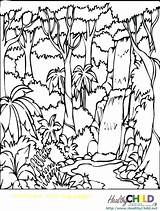 Rainforest Coloring Pages Forest Printable Tropical Trees Print Colouring Getcolorings Deciduous Rain Color Amazon sketch template