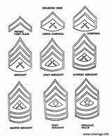 Corps Coloriage Grades Rank Veterans Ranks Enlisted Celebrating Armed Badges Insignia Colorluna Militaire Childcare Imprimer Imprimé Fois sketch template