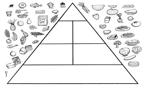 hele nutrition   food pyramid homeschooling adventures