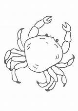 Coloring Crab Pages Sea Animal Color Printable Hellokids Beach Print Kids Online Kawaii Crafts Drawing Template Colouring Drawings Shells Shell sketch template