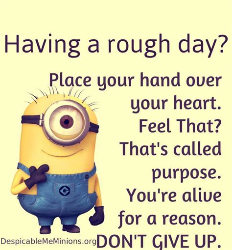 Funniest Minion Quotes And Pictures Of The Week