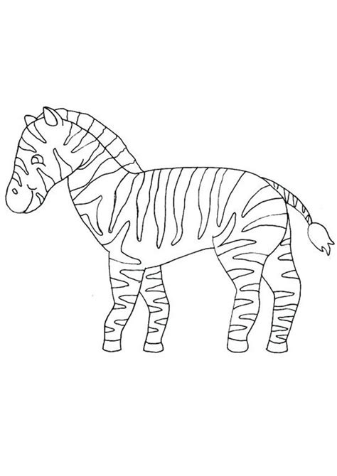 coloring pages baby zebra coloring page  kids
