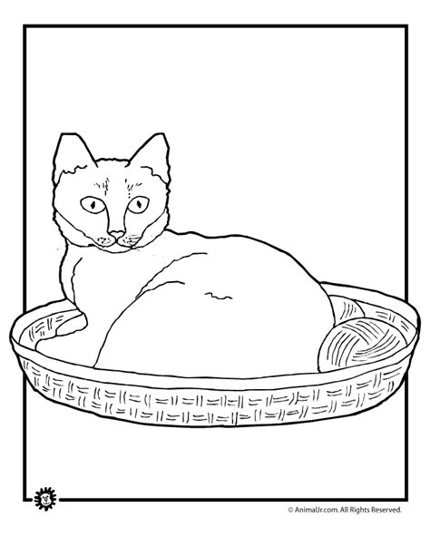 cat coloring pages cat coloring page yarn classroom jr cat