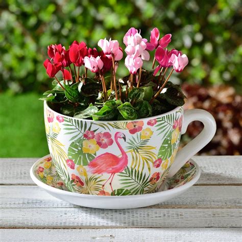 tea cup  saucer flower pot