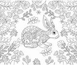 Rabbit Lapin Lapins Hasen Adulte Erwachsene Erwachsenen Páginas Hase Senioren Pascher Mandalas Pinnwand Feuilles Ausmalen sketch template