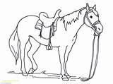 Trojan Coloring Pages Getcolorings Horse sketch template
