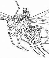 Ant Formiga Vola Antman Avispas Sopra Wasp Avispa Animale Voa Vuela Cartonionline Pym Wasps Flies sketch template