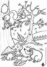 Coloring Animals Pages Fall Animal Popular sketch template