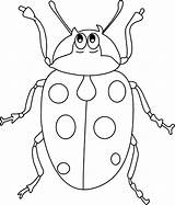 Bug Coloring Beetle Pages Ladt Color sketch template
