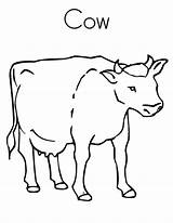 Cow Healthy Dairy Coloring Pages Netart sketch template